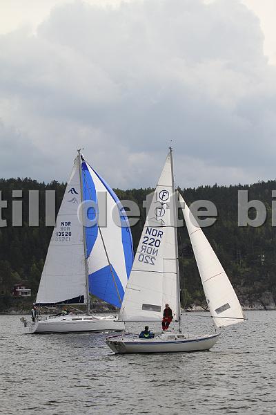 Bundefjorden2012 284.jpg